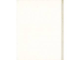 Jeugdboeken Vlug het wilde paard - Piet Mortelman