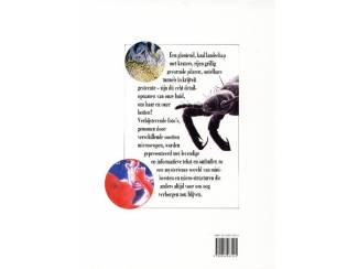 Jeugdboeken Verborgen werelden - Het menselijk Lichaam - Heather Amery - Jane