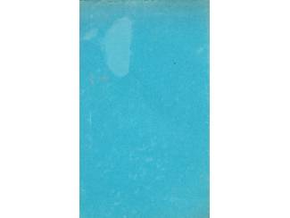 Reisboeken Reisboek voor Nederland - ANWB - 1966