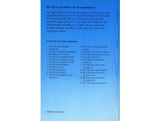 Jeugdboeken De Vijf 17-en de schat van de strandjutter - E Blyton blauw