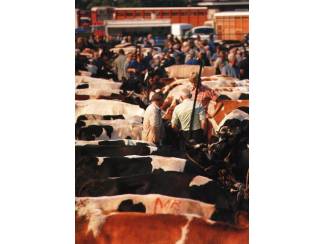 Overige Boeken en Diversen Overijssel op het land - Wim Coster