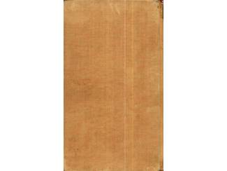 Detectives en Spanning Moord op de Walletjes - Marten Treffer