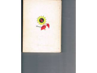 Jeugdboeken Ankie als schoolbrigadiertje &ndash; Freddy Hagers