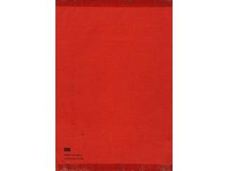 Automotive Autotechniek - Electriciteitsleer dl 2 - J.C. Burggr&auml;fer