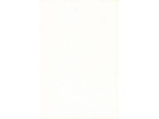 Jeugdboeken Vakantie in Lipiza - Vladimir Carin