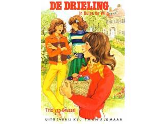 De Drieling in Huize de Wilp - Trix van Brussel