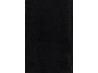 Hobby en Techniek Triomftocht van de Techniek dl 2 - Derry & Williams