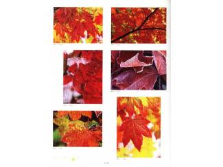 Kunst en Foto Zefa 12 - the Picture Book