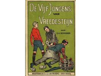 De Vijf Jongens van Vreedesteijn - Q.A.de Ridder