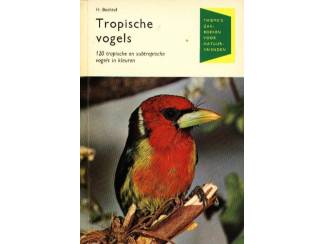 Huisdieren Tropische Vogels - H Bechtel - Thieme