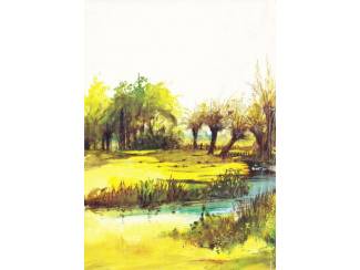 Kinderboeken Bonno dl 1 - Bonno de zwarte pony - Henri Arnoldus