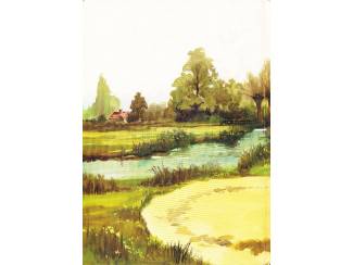 Kinderboeken Bonno dl 4 - Bonno de zwarte pony en de grote verrassing - Henri