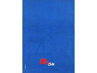 Stripboeken Zilvervoet  - Ponyclub - Strippocket