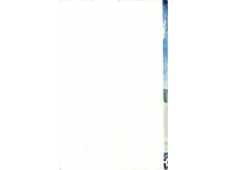 Jeugdboeken De zonen van de zeerover - Dick Dreux