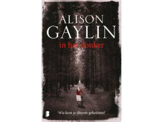In het donker - Alison Gaylin