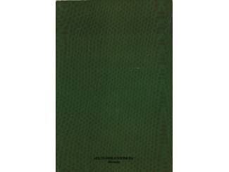 Stripboeken Debbie Medaillon Boek 34