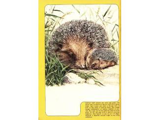 Stripboeken Debbie Stripstory nr 10 - 1978