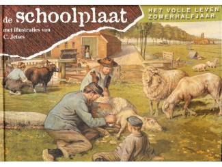 De Schoolplaat - Het volle leven Zomerhalfjaar  - W.K. de Bruin e