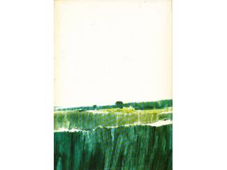 Reisboeken Boerin in Frankrijk - Wil den Hollander