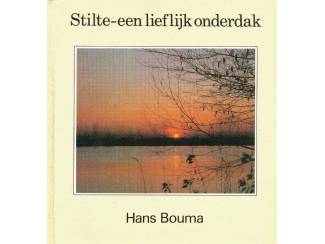 Stilte - een lieflijk onderdak - Hans Bouma