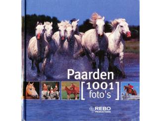 Paarden - 1001 foto's - Murielle Rudel en Michel Viard