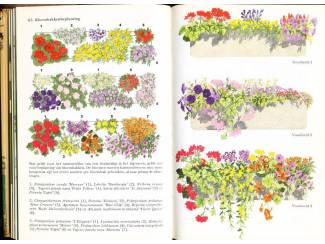 Hobby en Techniek Tuinaanleg en beplanting in kleur - Eigil Kiaer - Moussault