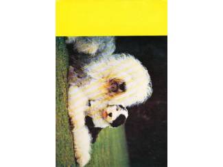 Striptijdschriften Conny nr 8 - 1985