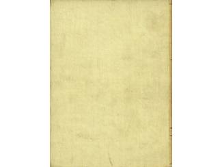 Geschiedenis en Politiek Alewijn de Lijfeigene - Molt's Historische Verhalen