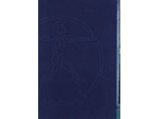 Medisch en Gezondheid Beschadigd Bestaan - Bureau Beroepsziekten - FNV