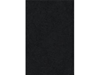 Romans De mijnen van Koning Salomon - Rider Haggard - RD (boekverhaal)