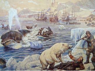 Reisboeken De eerste walvisvaart van de Willem Barendsz 1946 - 1947 - Dr. A.