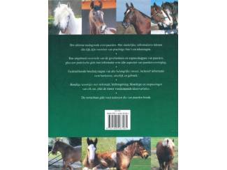 Sport Paarden - Debby Sly