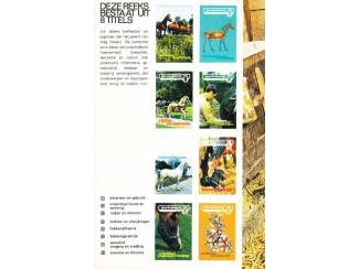 Sport Paardenkennis dl 6 - Fokkerijpraktijk - MSD reeks