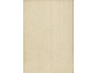 Geschiedenis en Politiek Water en vuur - B.J. van Wijk