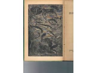 Jules Verne Jules Verne &ndash; 20.000 mijlen onder zee &ndash; Oostelijk halfrond