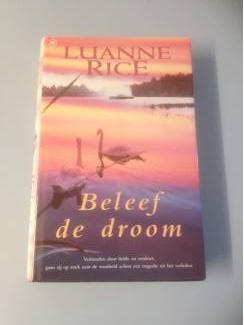 Romans Luanne Rice : beleef de droom