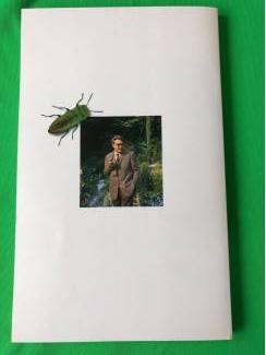 Literatuur Erik of het klein insectenboek ( Godfried Bomans ).