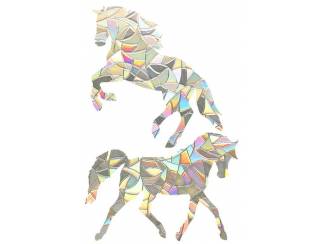 Raamsticker - 3d - Rainbow - Paard