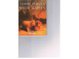 Alles over tamme poezen en wilde katten