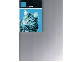 Huisdieren Katten &ndash; T. en J. Flury