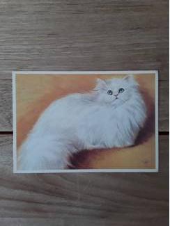 Vintage - ansichtkaarten - katten - van St. Kinderpostzegels -