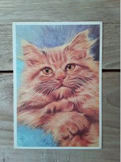 Ansichtkaarten Vintage - ansichtkaarten - katten - van St. Kinderpostzegels -