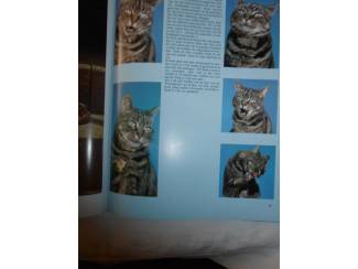 Huisdieren Houden van katten &ndash; Julia Freeman