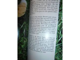 Huisdieren Houden van katten &ndash; Julia Freeman