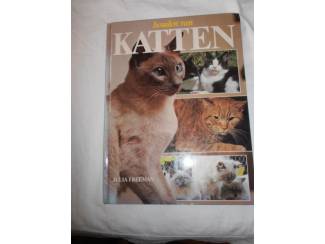 Houden van katten &ndash; Julia Freeman