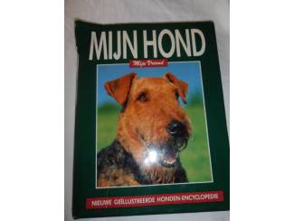 Huisdieren Mijn hond &ndash; mijn vriend