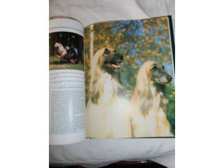 Huisdieren Mijn hond &ndash; mijn vriend