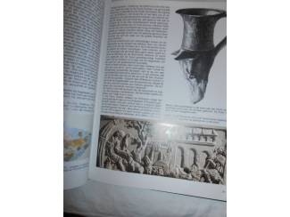 Huisdieren Mijn hond &ndash; mijn vriend