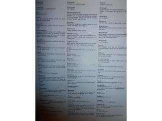 Huisdieren Mijn hond &ndash; mijn vriend