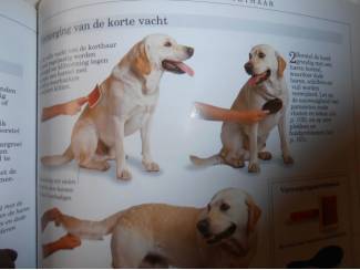 Huisdieren Honden en hun verzorging &ndash; Dr. Bruce Fogle